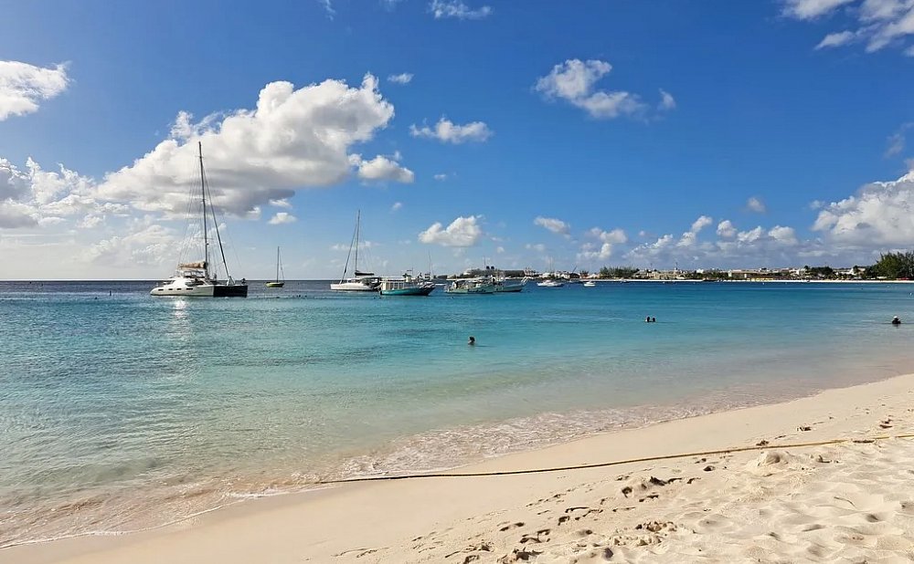 photo of beach and palms in Bridgetown MasterDrive car rental bridgetown barbados