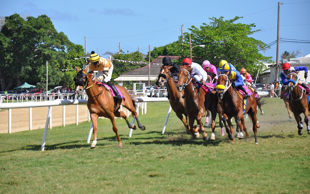 photo of Barbados Garrison Savannah horce race in Bridgetown MasterDrive car rental bridgetown barbados