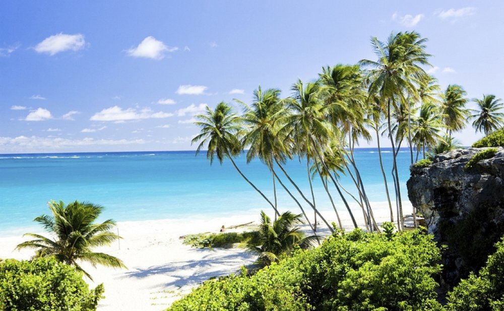 photo of beach and palms in Bridgetown MasterDrive car rental bridgetown barbados